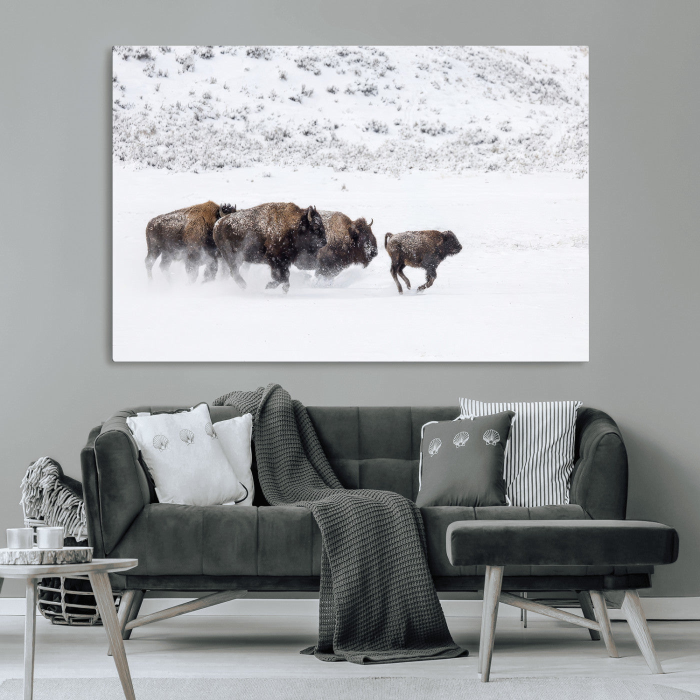 Bison herd running through a snowy open field with mountain backdrop, perfect for rustic or western-themed wall decoration.