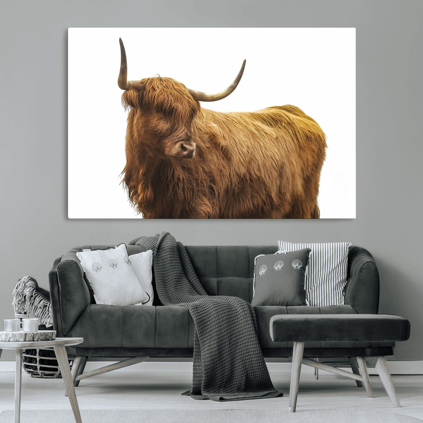 A highland cow with long horns and shaggy fur standing calmly, isolated on white background, ideal for rustic or farmhouse wall decor.