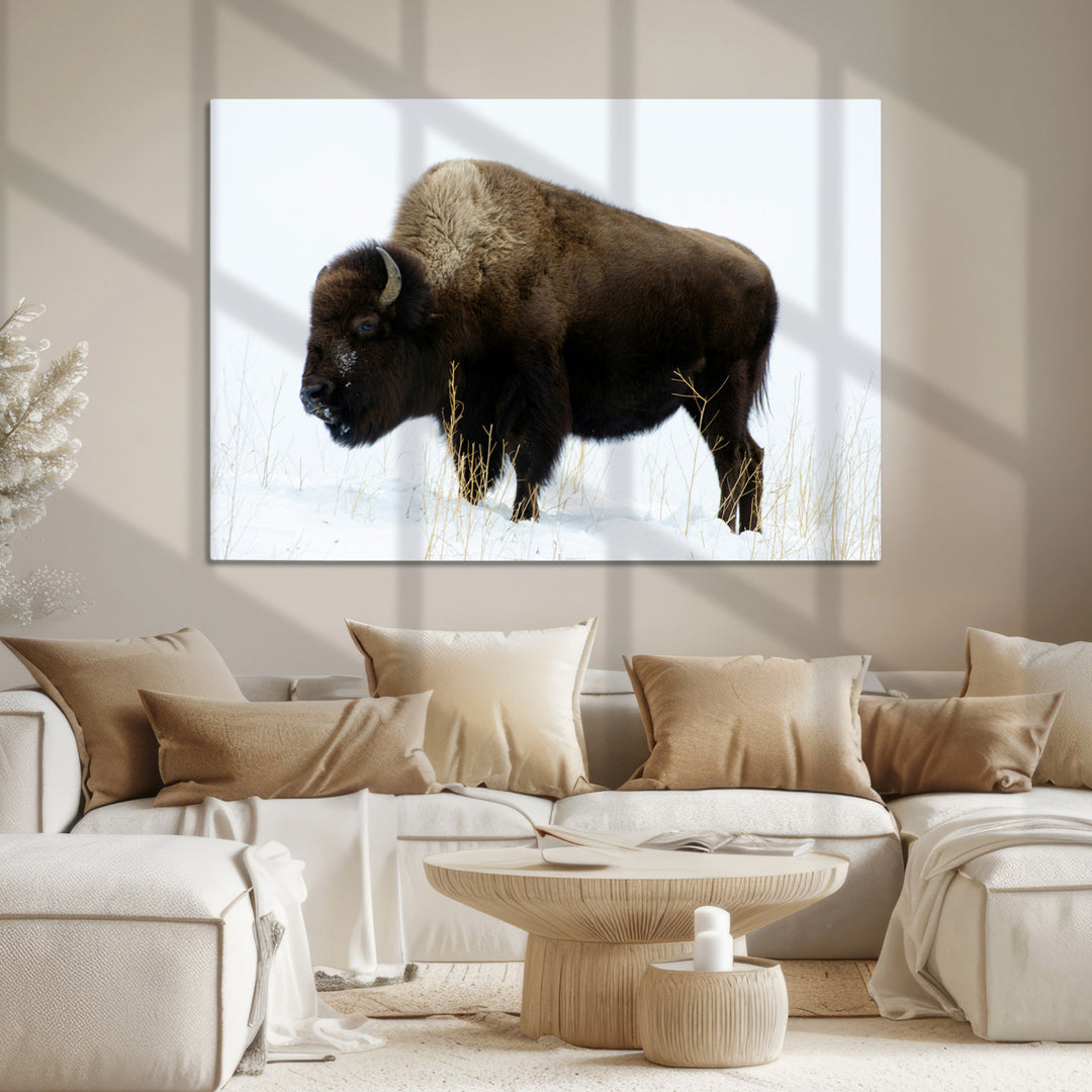 Bison Photography Wall Art Canvas Print, Framed Western Wildlife Art Picture Print, Buffalo On Snow Perfect Western Decor Artwork