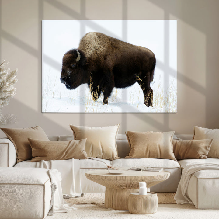 Bison Photography Wall Art Canvas Print, Framed Western Wildlife Art Picture Print, Buffalo On Snow Perfect Western Decor Artwork
