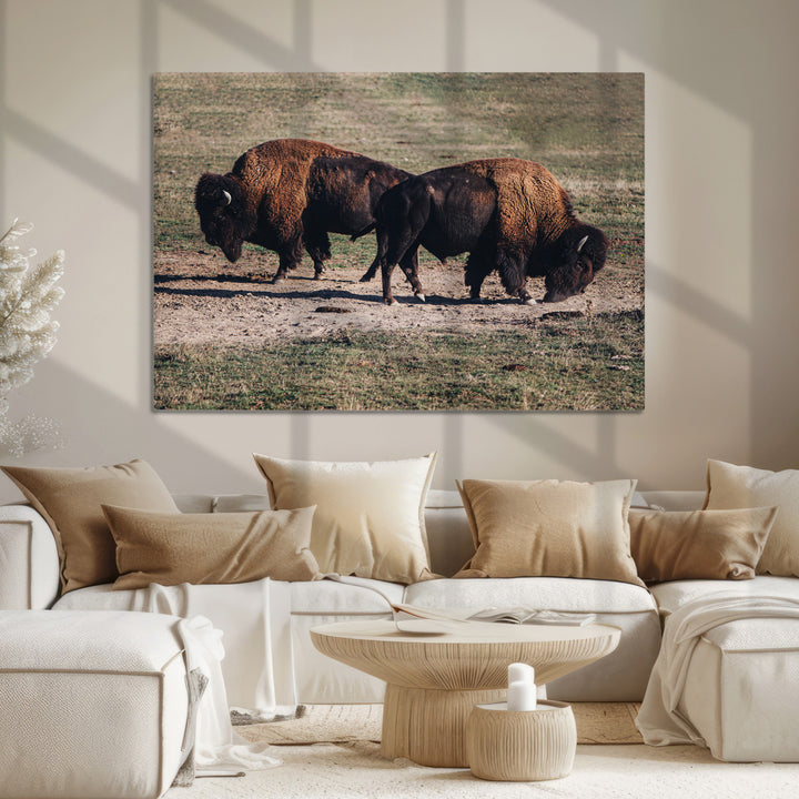 Bison Photography Wall Art Canvas Print, Framed Western Wildlife Art Picture Print, Modern Ranch Perfect Western Rustic Decor Artwork