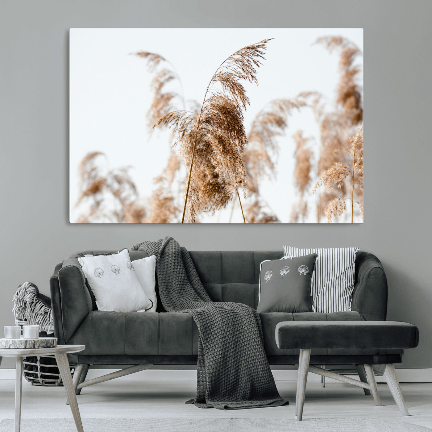 Close-up of pampas grass swaying in the wind against a soft white sky, creating a neutral and minimalist botanical aesthetic.