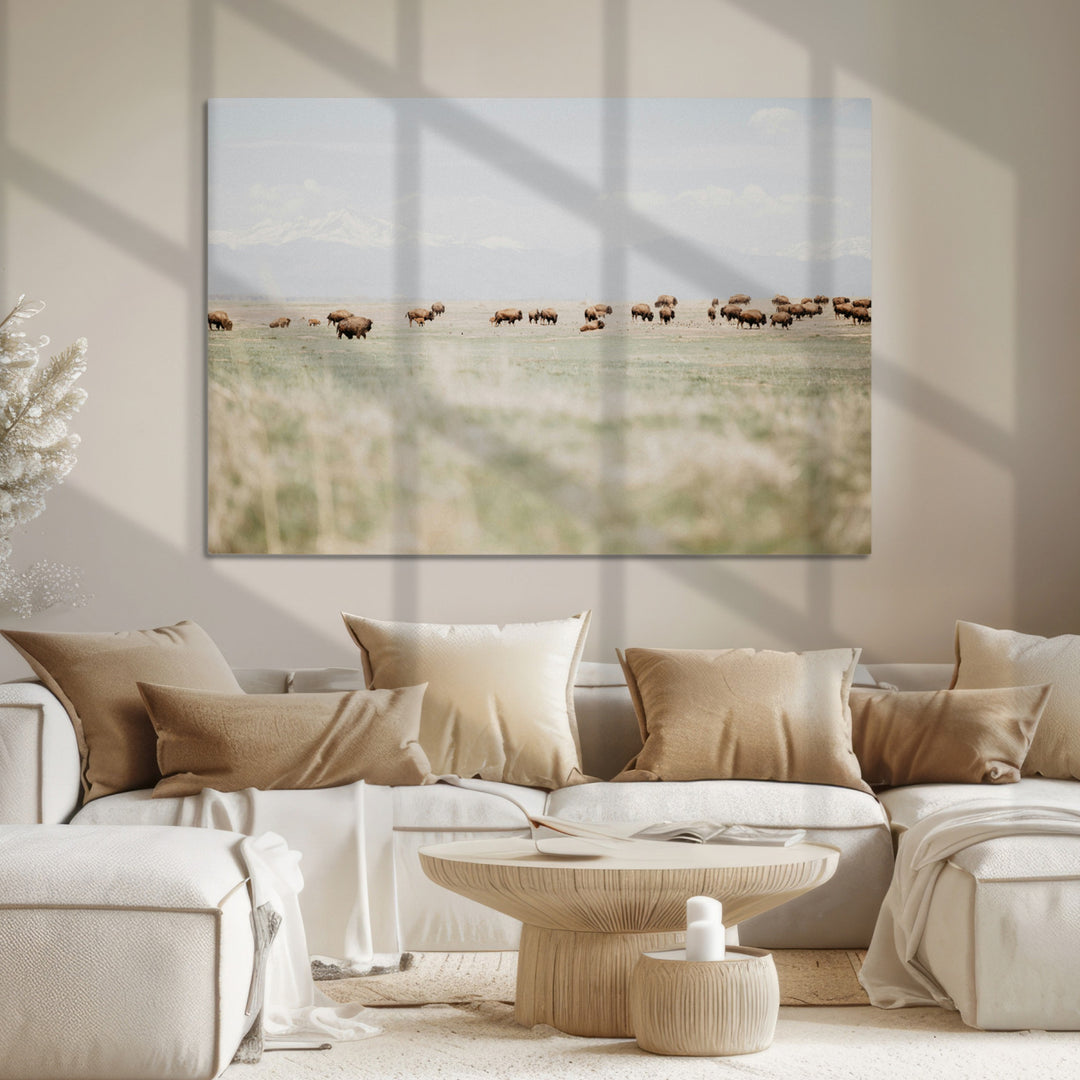 Bison Herd Wall Art Canvas Print, Framed Western Art Picture Print, Bison Perfect Ranch Decor Artwork
