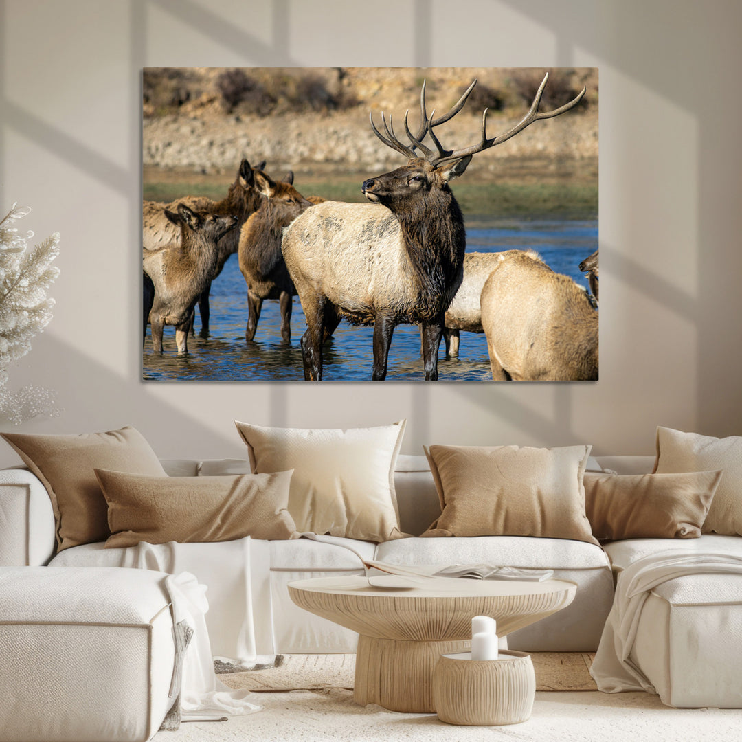 Wild Elk Photography Wall Art Canvas Print, Framed Neutral Wildlife Scene Art Picture Print, Rustic Animal Print Perfect Rustic Farmhouse