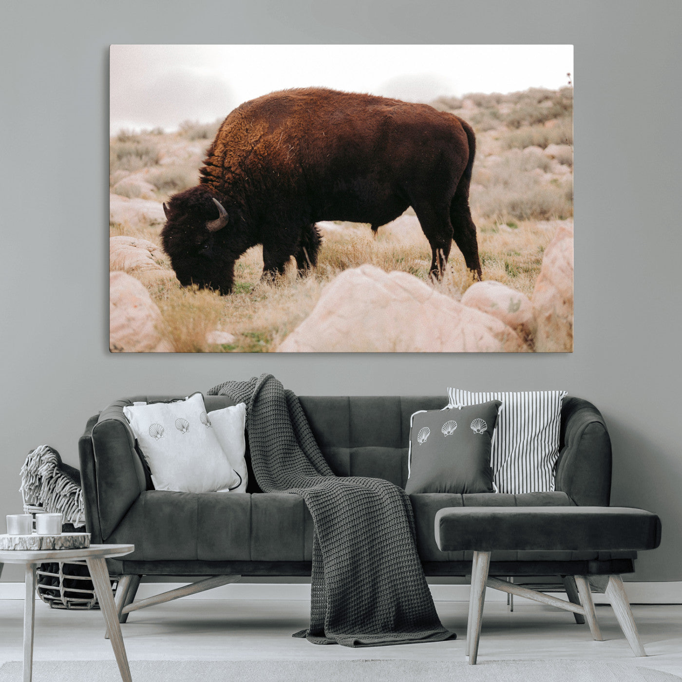 A solitary bison grazing in a rugged prairie with earthy tones and scattered rocks, capturing the essence of the American West for rustic decor.