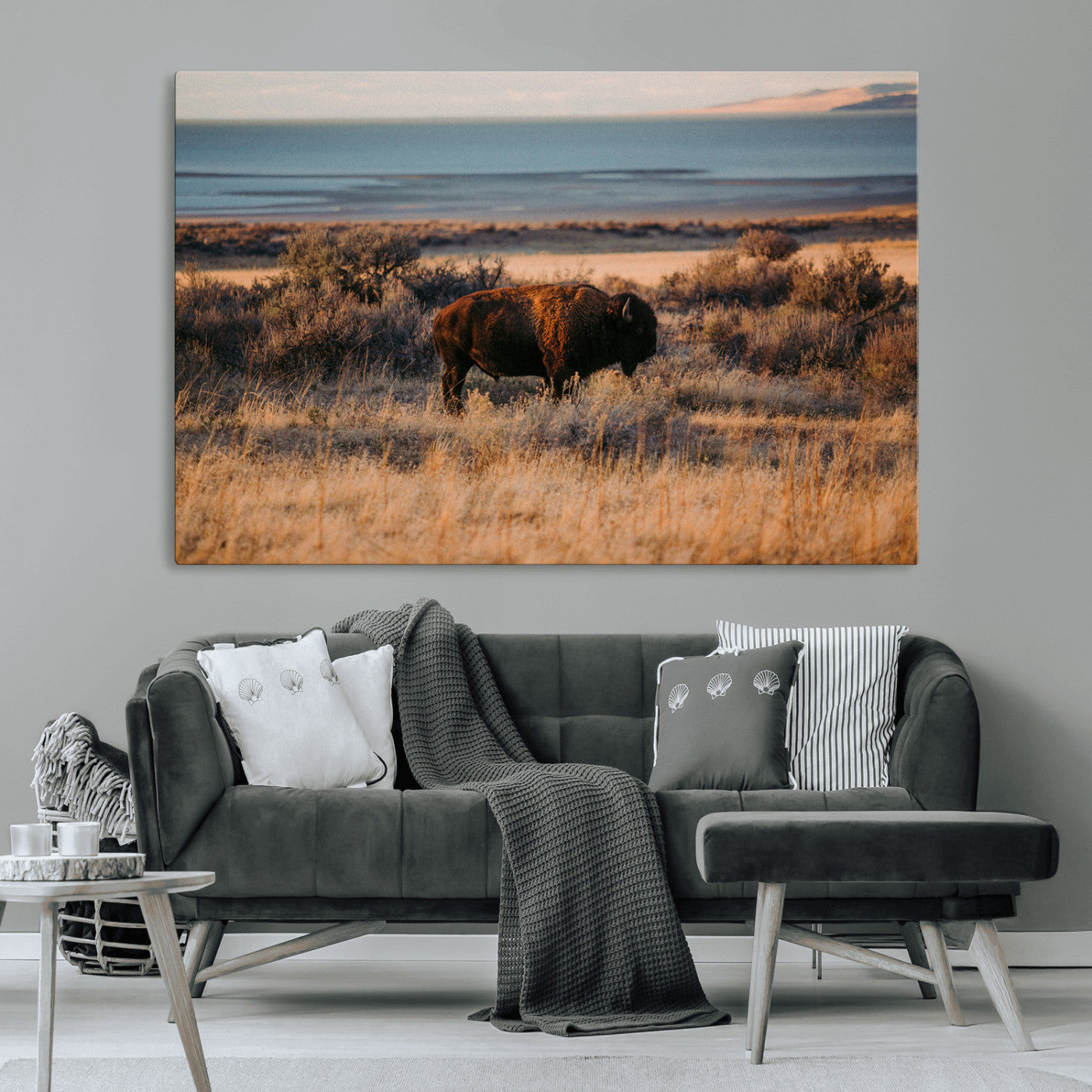 A lone bison grazing in golden prairie grass at sunset, with warm earthy tones and a distant lake view, perfect for rustic and western decor.