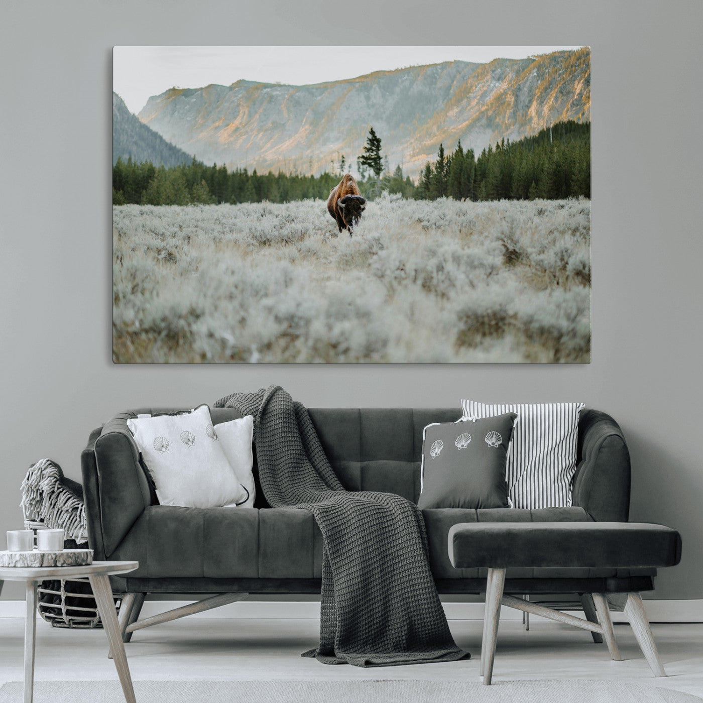 Lone bison standing in a frosted sagebrush field with a pine forest and rugged mountain range in the background under soft morning light – Wall Art Canvas Print.