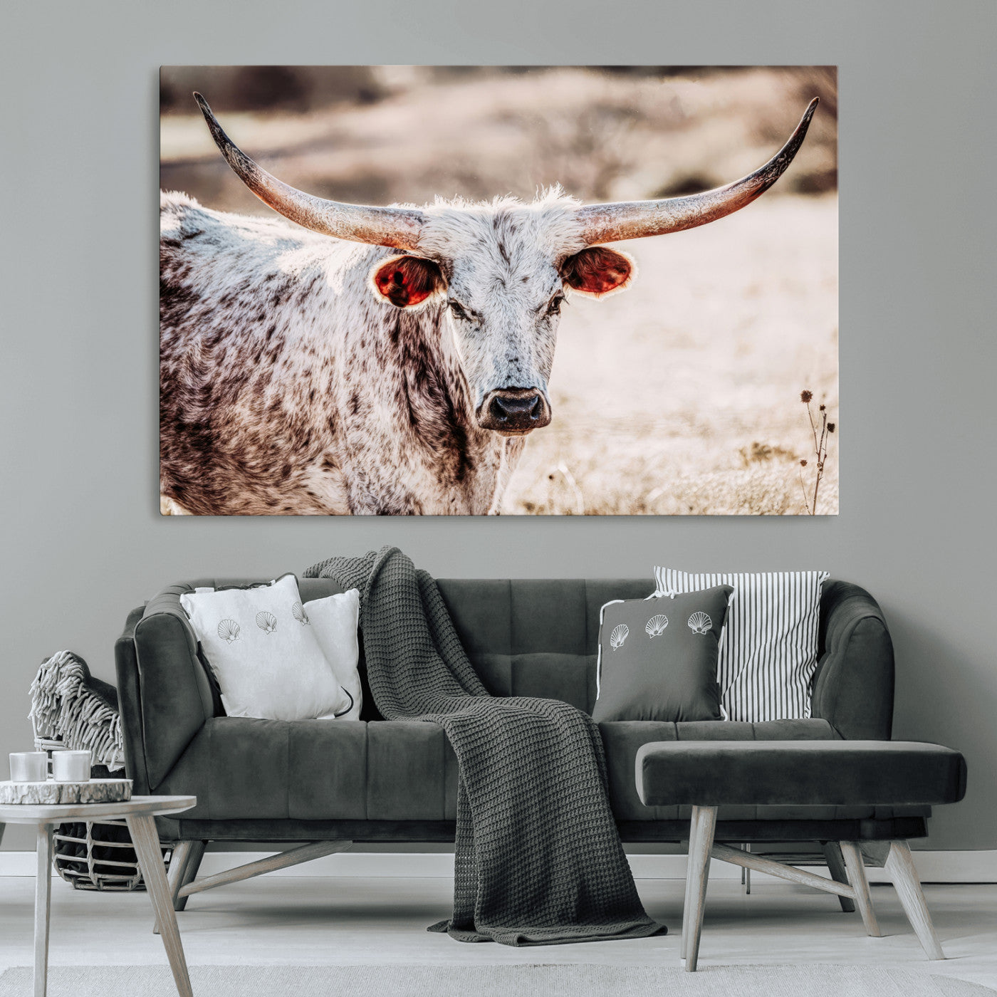Close-up photograph of a white and brown speckled longhorn cow with very large, curved horns standing in a sunlit field with dry grass and blurred background.
