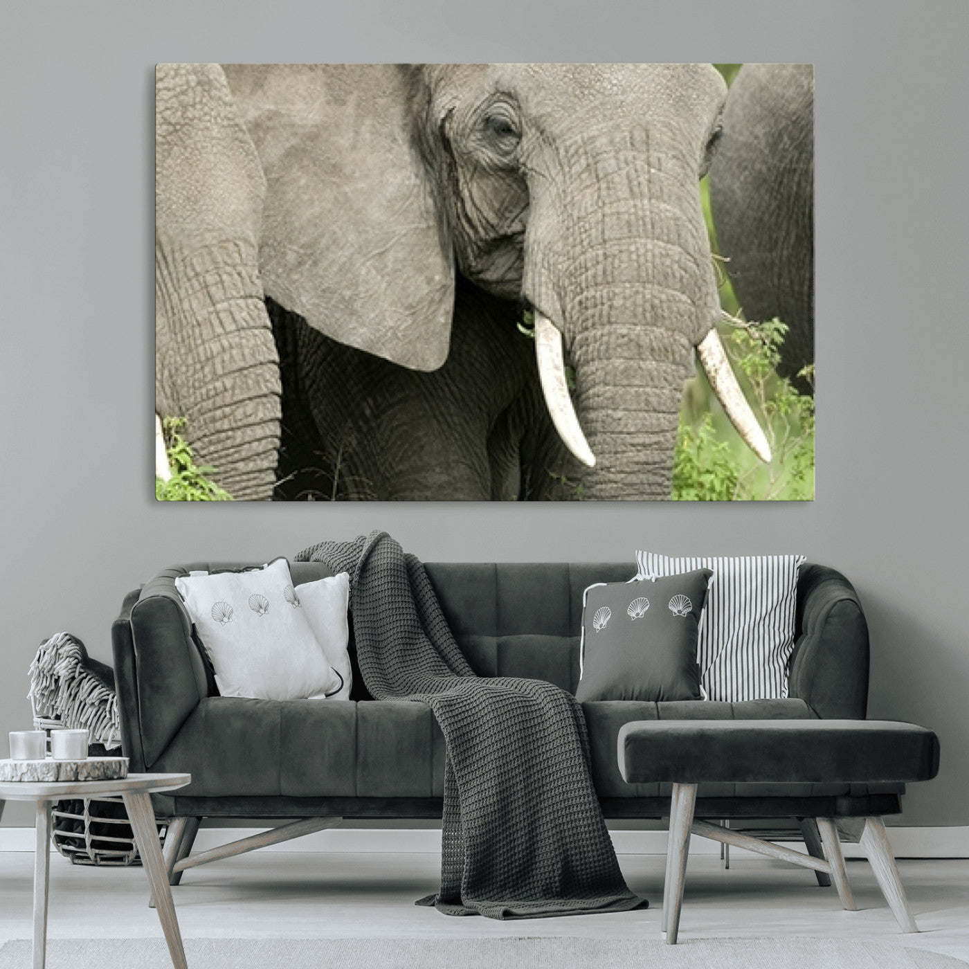 MGV-CV-36X24 - Wild Elephant Wall Art Canvas Print