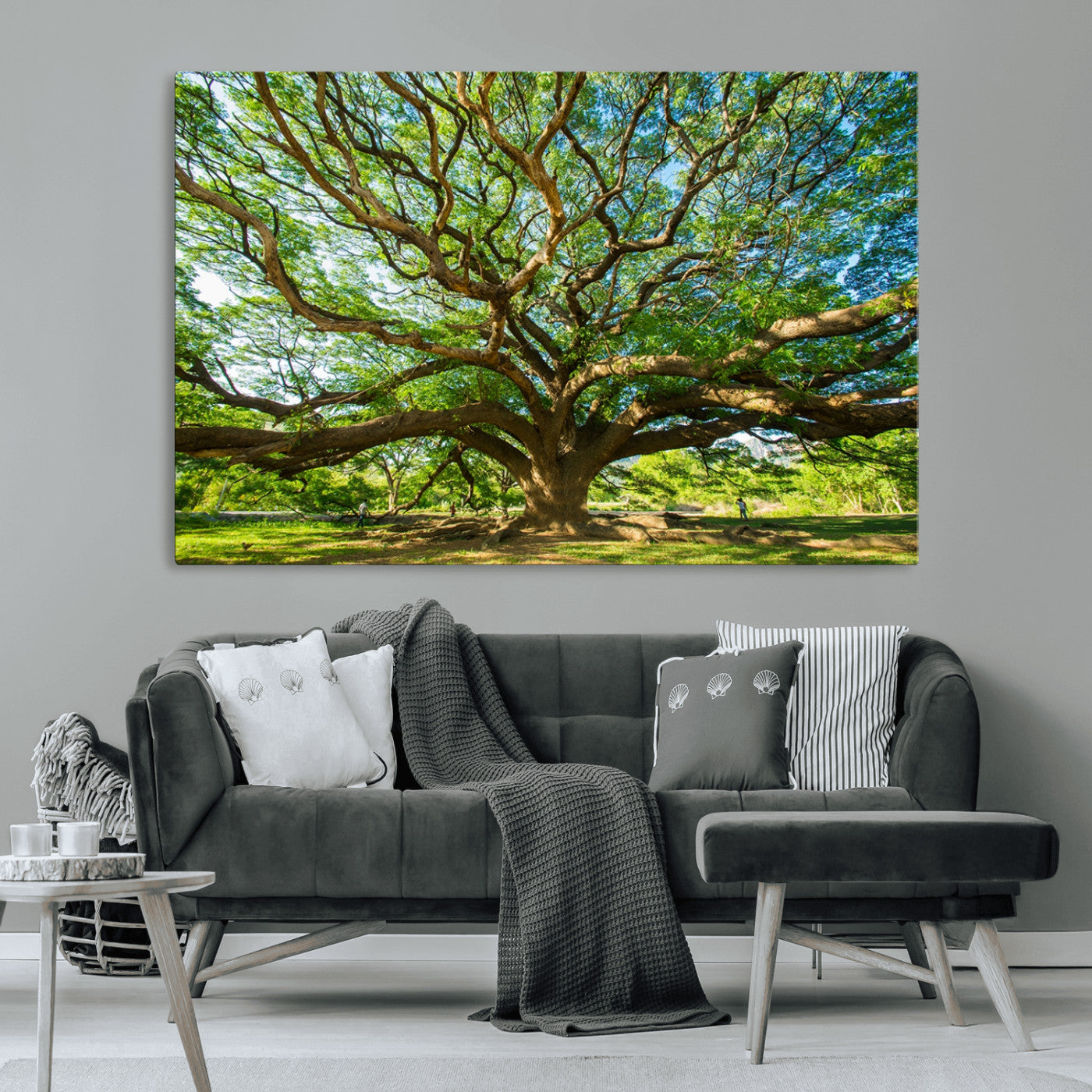 MGV-CV-36X24 - Angel Oak Tree Wall Art | Oak Canvas Print | Multi Panel Landscape Wall Art | Ready to Hang Wall Art