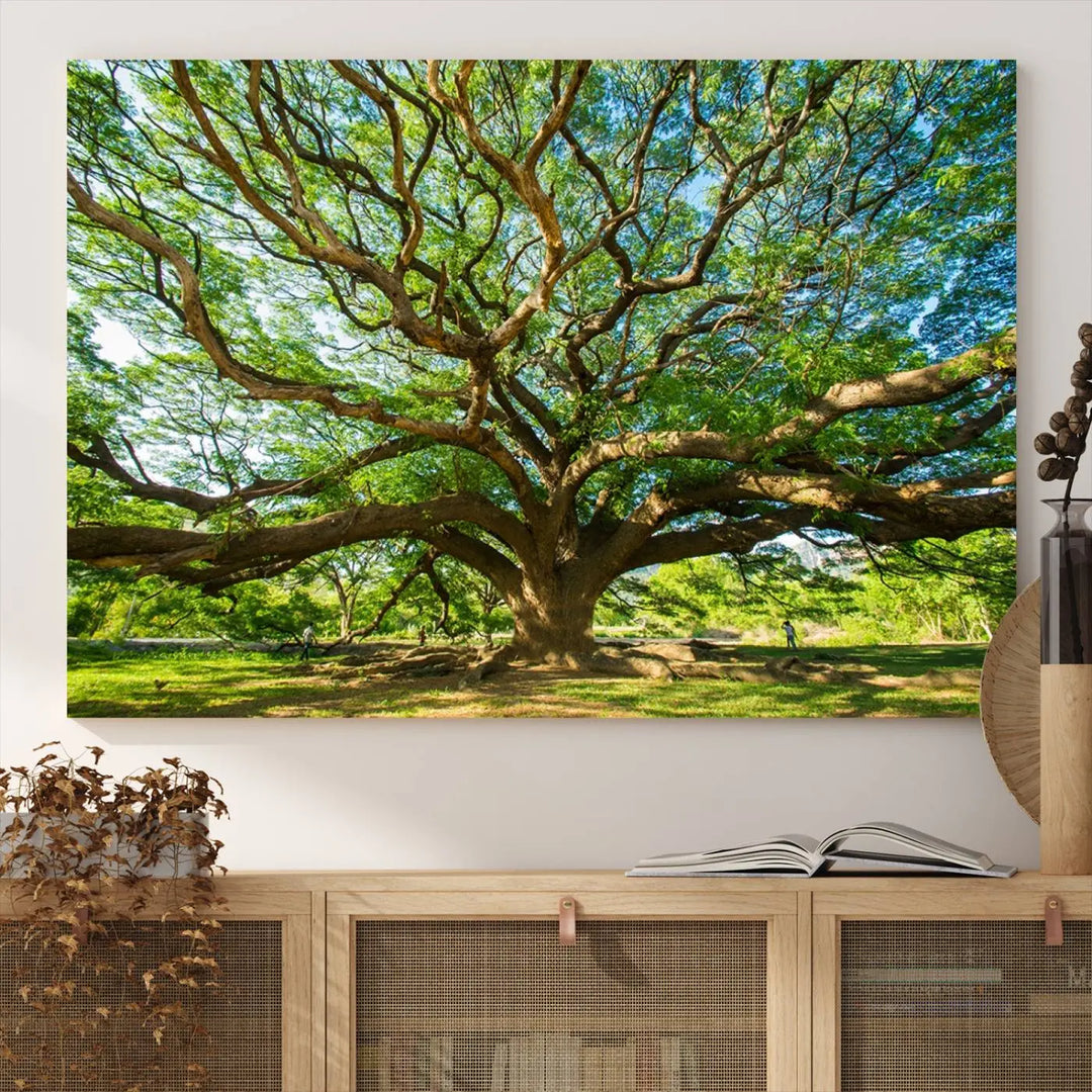 The Angel Oak Tree Wall Art, a multi-panel canvas print showcasing a large tree with sprawling branches and green leaves in a style reminiscent of the majestic Angel Oak Tree, elegantly adorns the wooden wall in the living room.