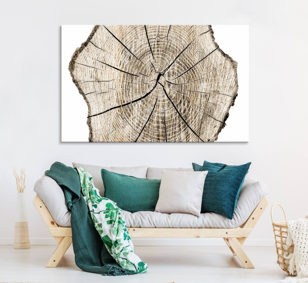 The Abstract Wood Tree Ring Wall Art set of 3 adds a minimalist touch to the space.