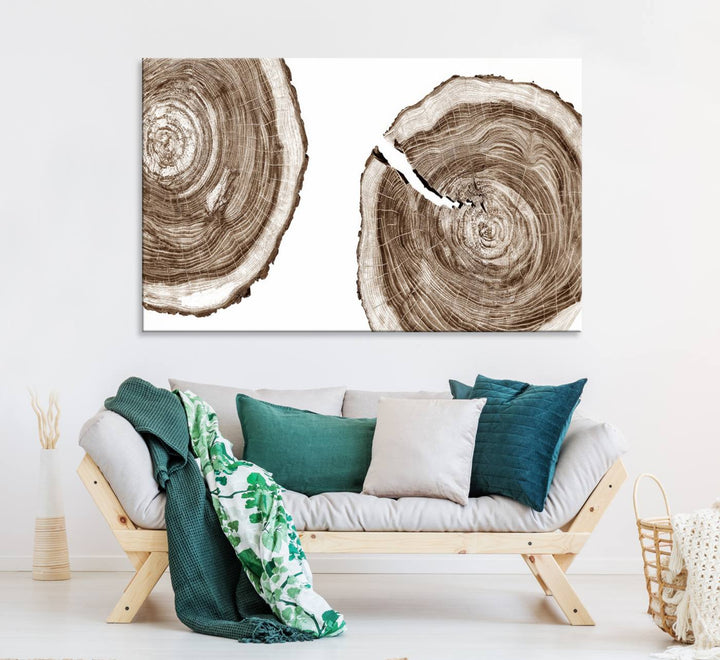 Wood Tree Ring Wall Art on a minimalist black and white canvas.