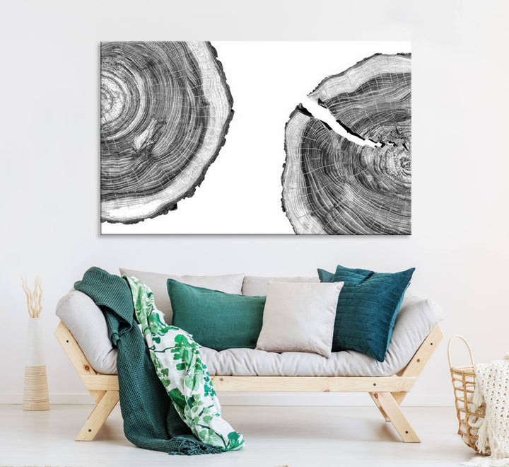 The minimalist art piece Abstract Large Tree Rings on canvas creates a striking focal point.