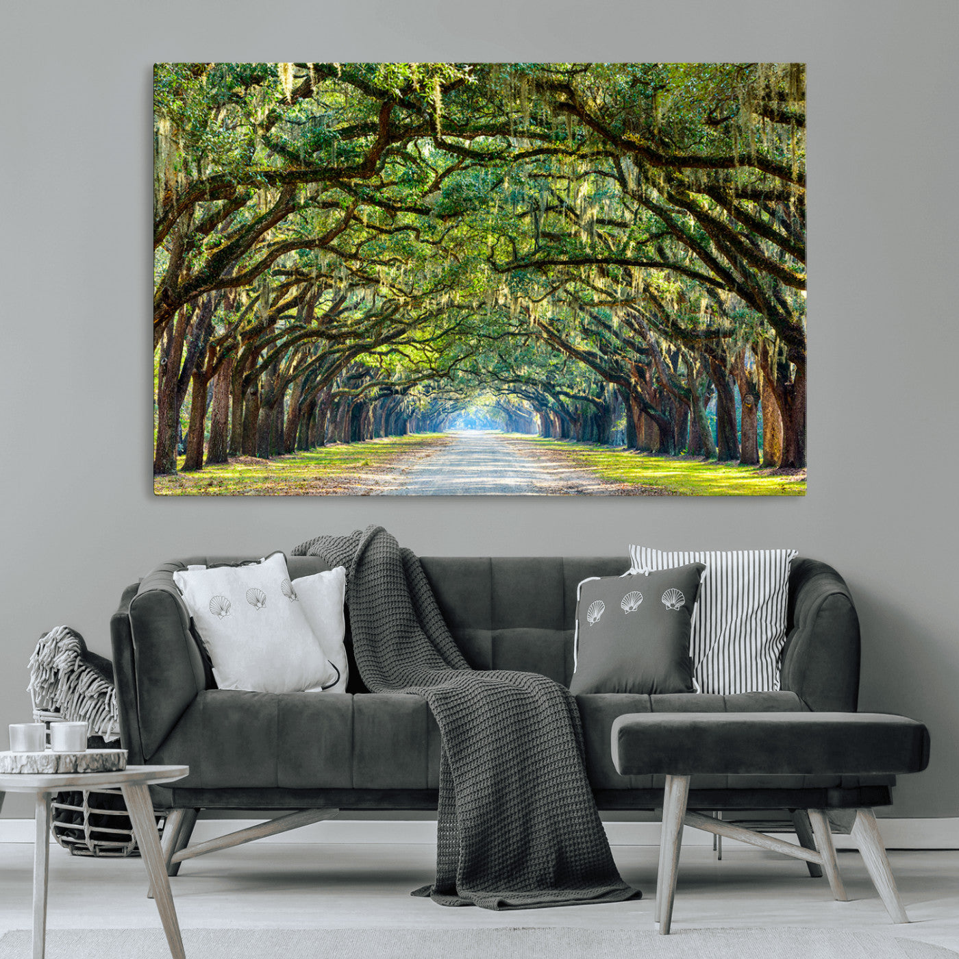 MGV-CV-36X24 - Wormsloe State Plantation Driveway Wall Art Canvas Print