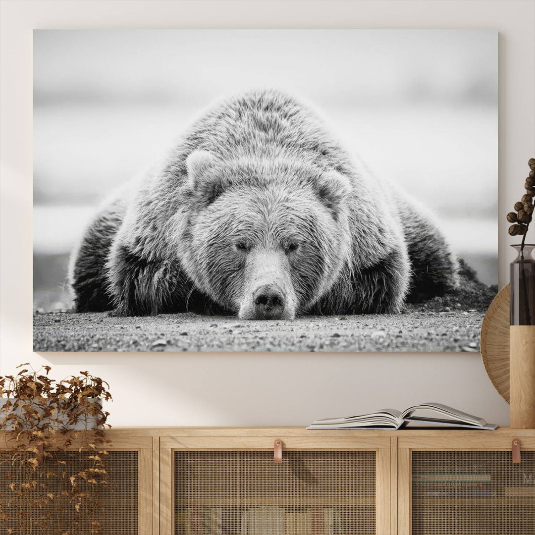 Resting Grizzly Bear wall art displayed in a modern room.