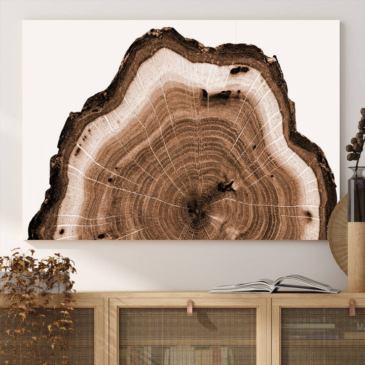 Rustic Wood Rings Wall Art | Nature-Inspired Tree Ring Canvas Print | Ready to Hang and Framed for Farmhouse Wall Decor