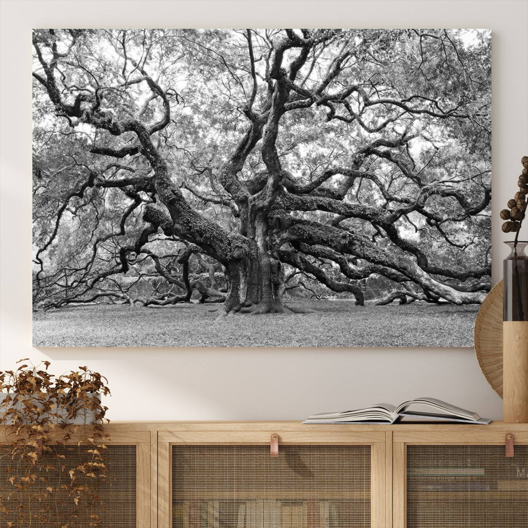 Black White Angel Oak Tree Wall Art - Timeless Nature-Inspired Canvas for Rustic, Modern, or Traditional Home Decor