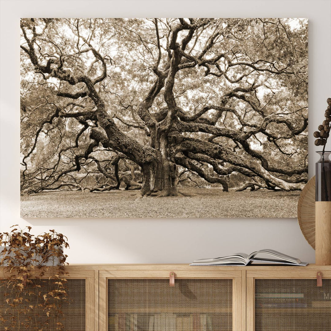 Displayed on the wall is a Sepia-framed Angel Oak Tree 3-panel canvas.