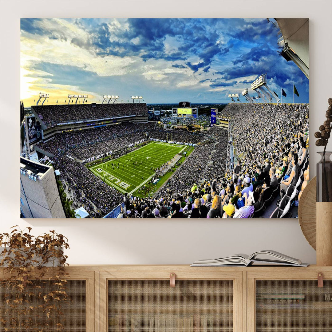 USF Bulls Football Team Print - Tampa Raymond James Stadium Wall Art Canvas Print