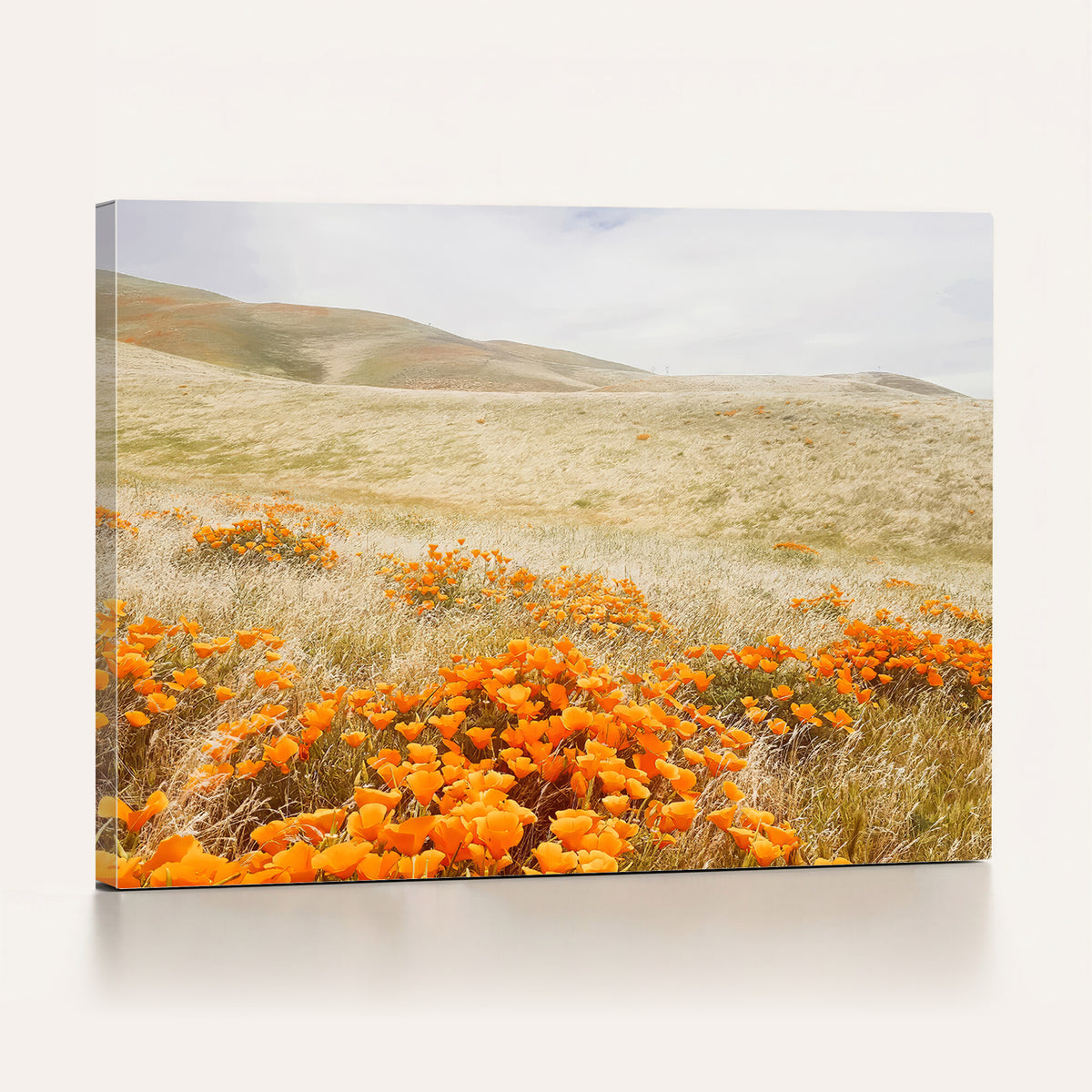 28972262-_Poster-30x20 - Golden Wildflowers Wall Art Canvas Print, Framed Hills and Poppy Meadow Scene
