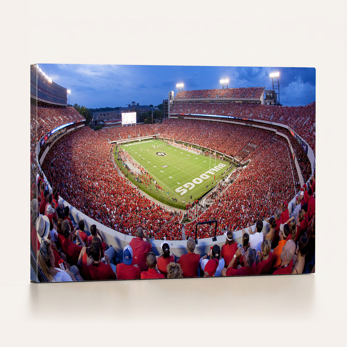 10244378-MGV-CV-36X24 - Dooley Stadium Wall Art, Sports Arena Canvas Print, Dooley Field, Home Bar Wall Decor