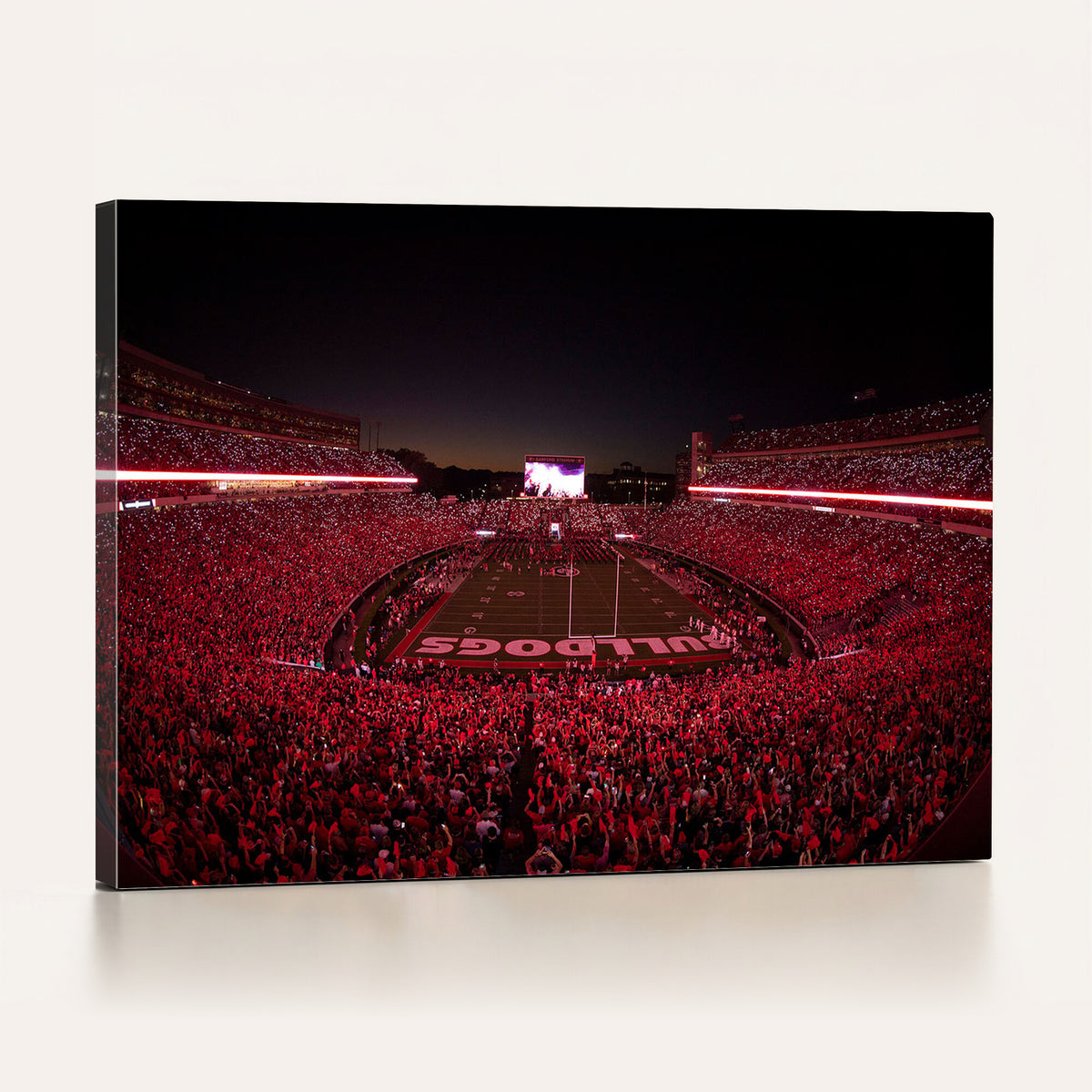 38331045-MGV-CV-36X24 - Dooley Stadium Wall Art, Sports Arena Canvas Print, Dooley Field Sanford Stadium