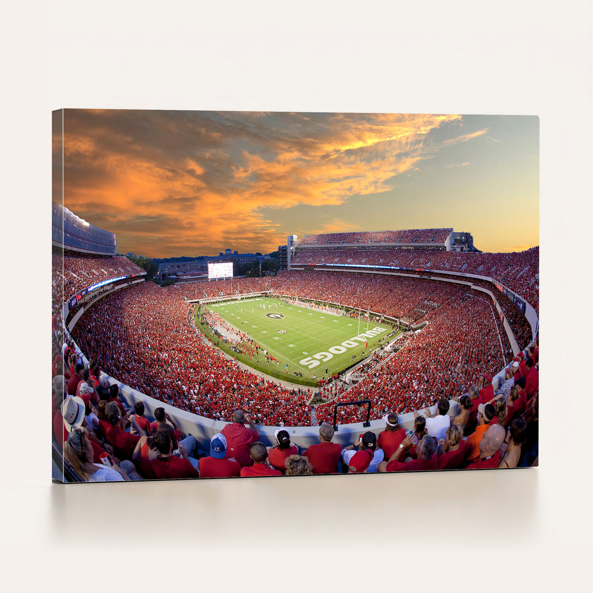 73680988-MGV-CV-36X24 - Dooley Stadium Wall Art, Sports Arena Canvas Print, Dooley Field, Framed and Ready to Hang