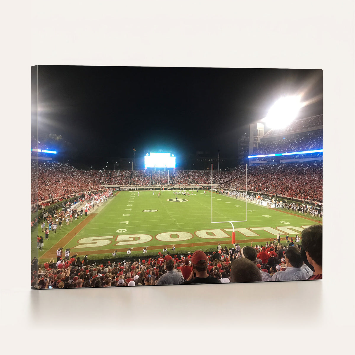 16230786-MGV-CV-36X24 - Dooley Stadium Wall Art, Sports Arena Panoramic Canvas Print, Modern Stadium Landscape Artwork for Home, Office