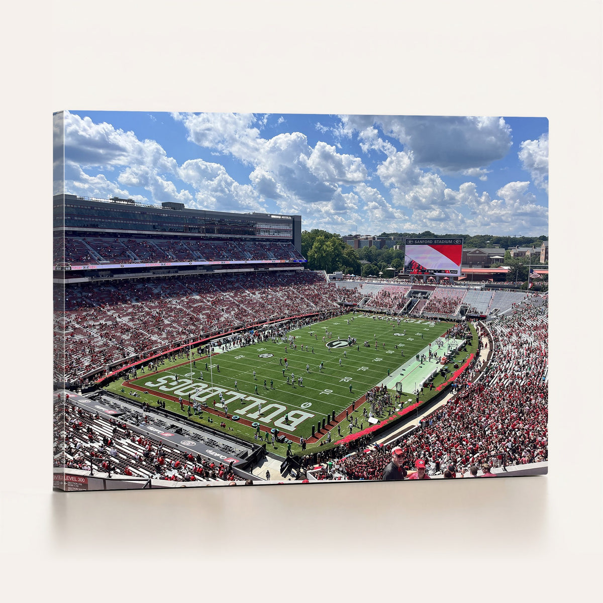 10665453-MGV-CV-24X16 - Georgia Bulldogs Stadium Wall Art Canvas Print, Sanford, Framed and Ready to Hang