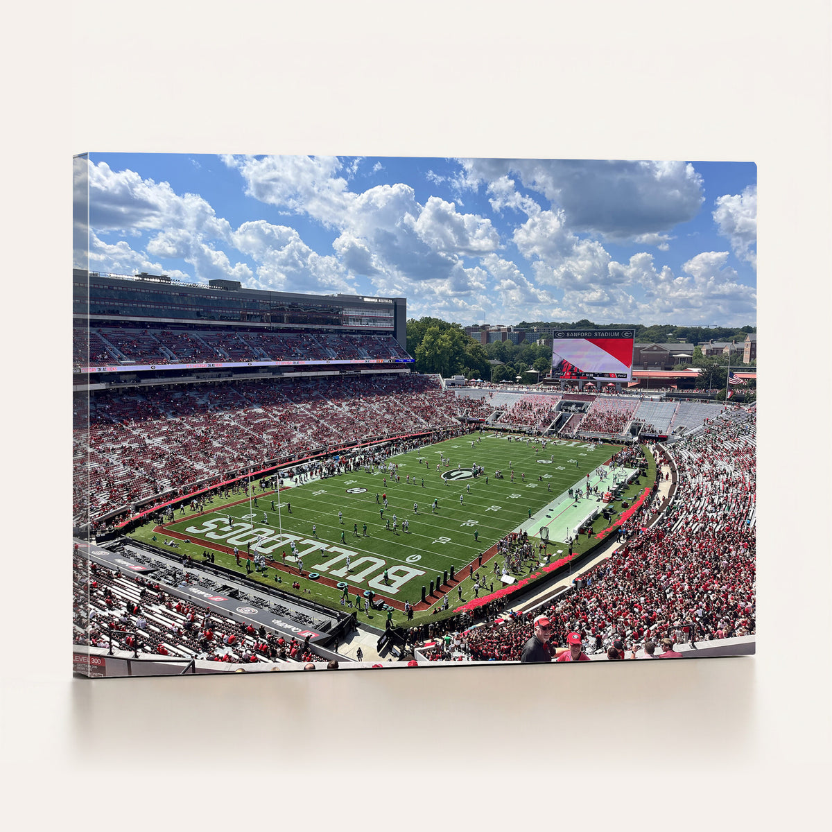 10665453-MGV-CV-36X24 - Georgia Bulldogs Stadium Wall Art Canvas Print, Sanford, Framed and Ready to Hang