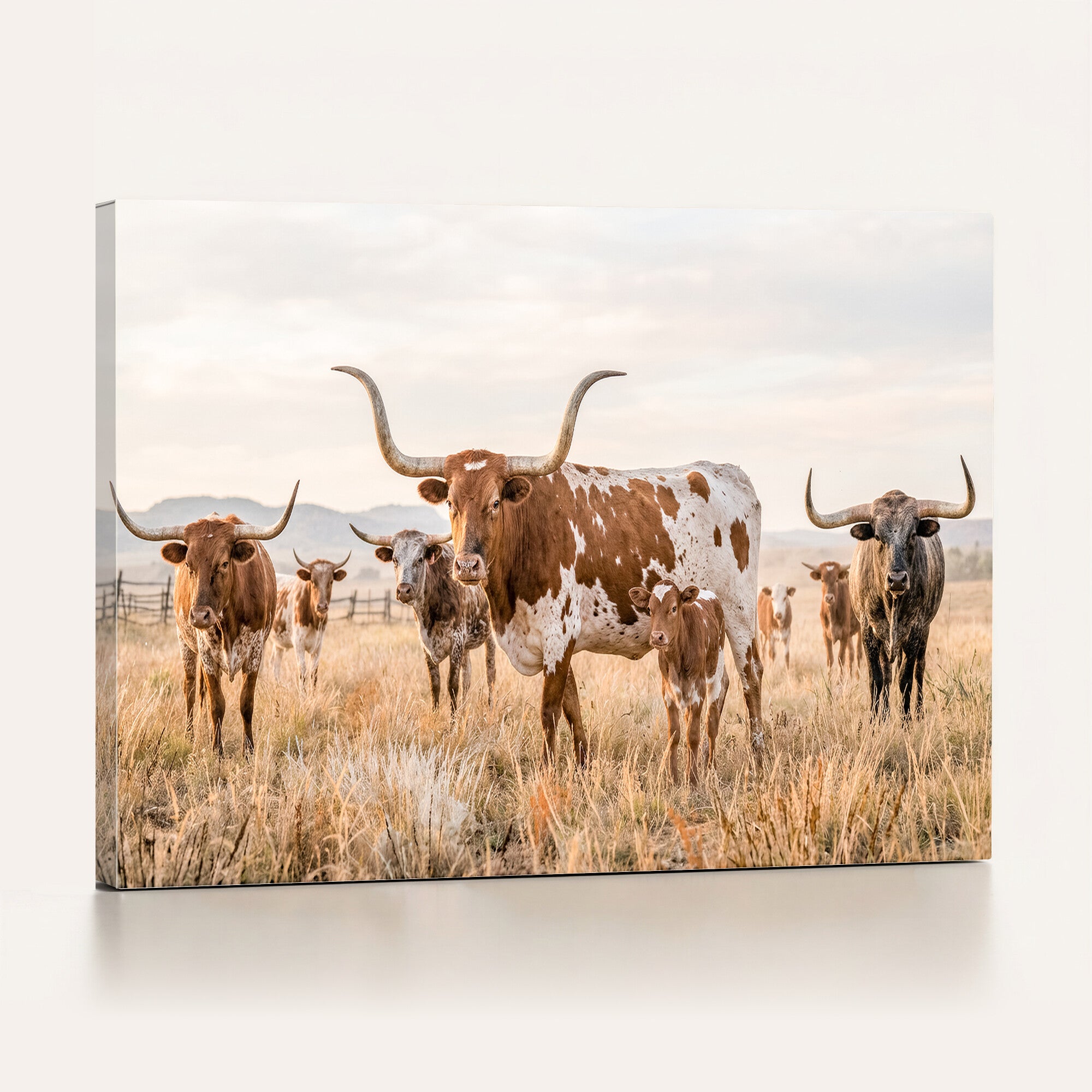 62336425AC-MGV-CV-36X24 - Texas Longhorn Canvas Wall Art, Rustic Farm Animal Photography Print, Farmhouse Country Decor, Western Ranch Art