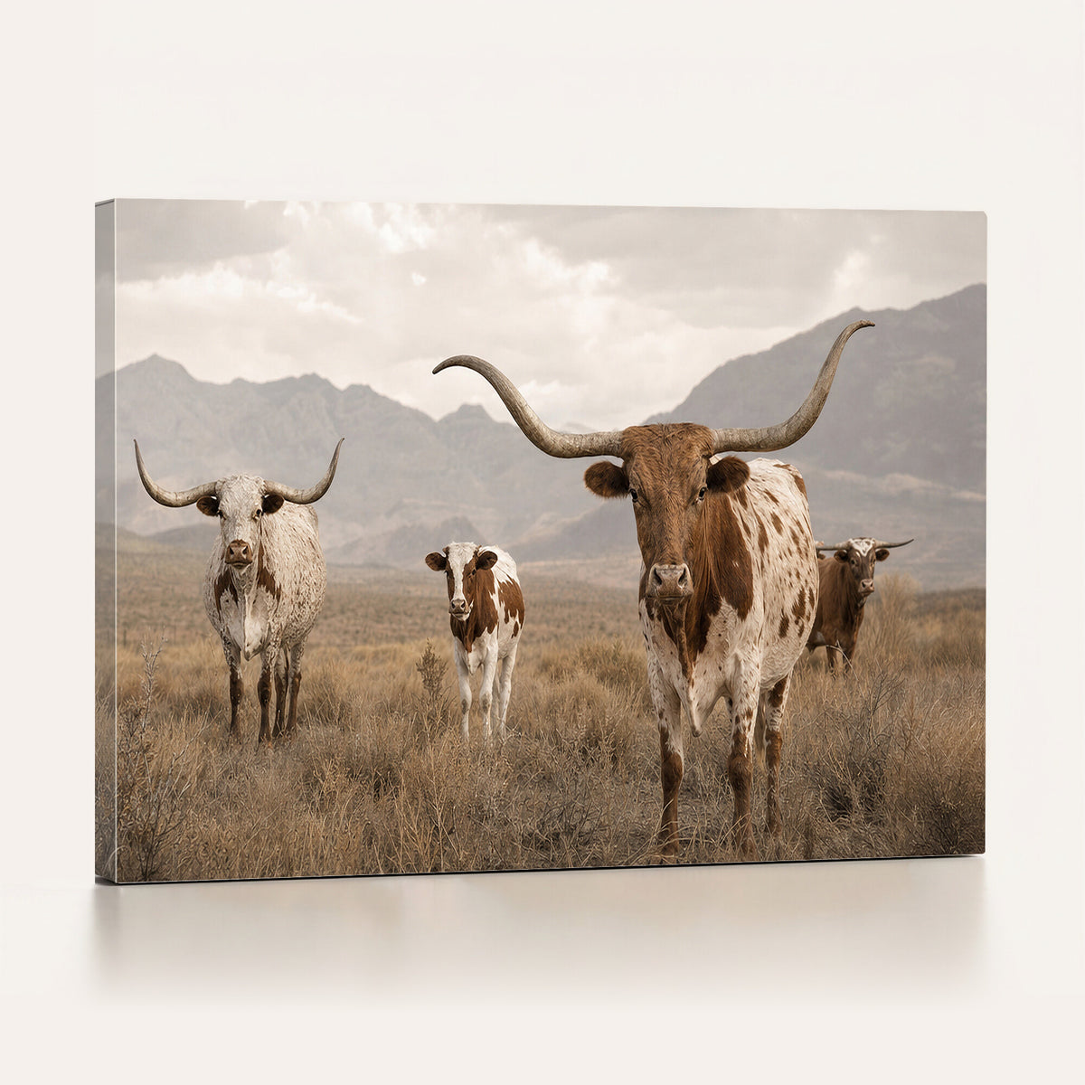 62336425AD-MGV-CV-36X24 - Rustic Texas Longhorn Cow Canvas Wall Art Print, Rustic Farm Animal Photography Print, Farmhouse Country Decor, Western Ranch Art