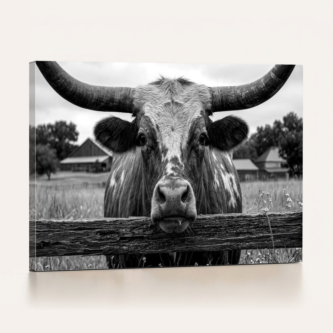 Black White Texas Longhorn Bull Canvas Wall Art, Western Ranch Cattle Photo Print