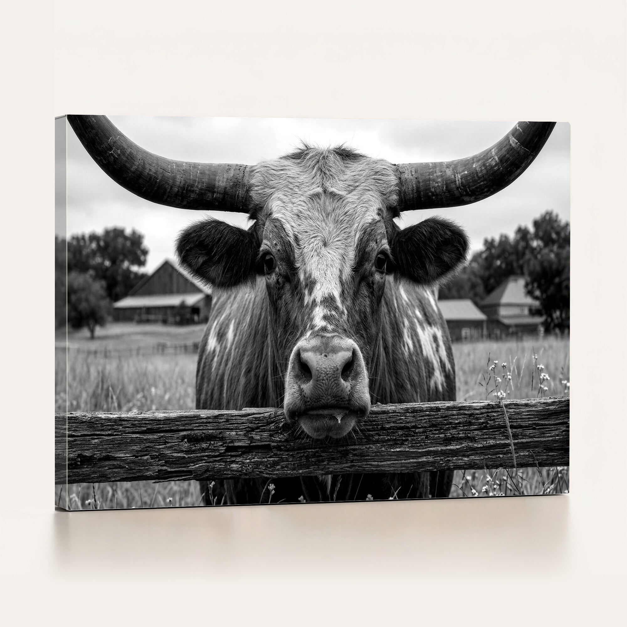 59378683B-MGV-CV-36X24 - Black White Texas Longhorn Bull Canvas Wall Art, Western Ranch Cattle Photography Print, Rustic Farmhouse Cowboy Decor Artwork