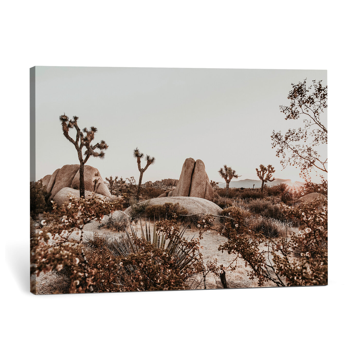 75778944-MGV-CV-36X24 - Joshua Tree Desert Canvas Wall Art Print - Desert Landscape Photography, Boho Southwest Wall Decor, Nature Canvas - Ready to Hang