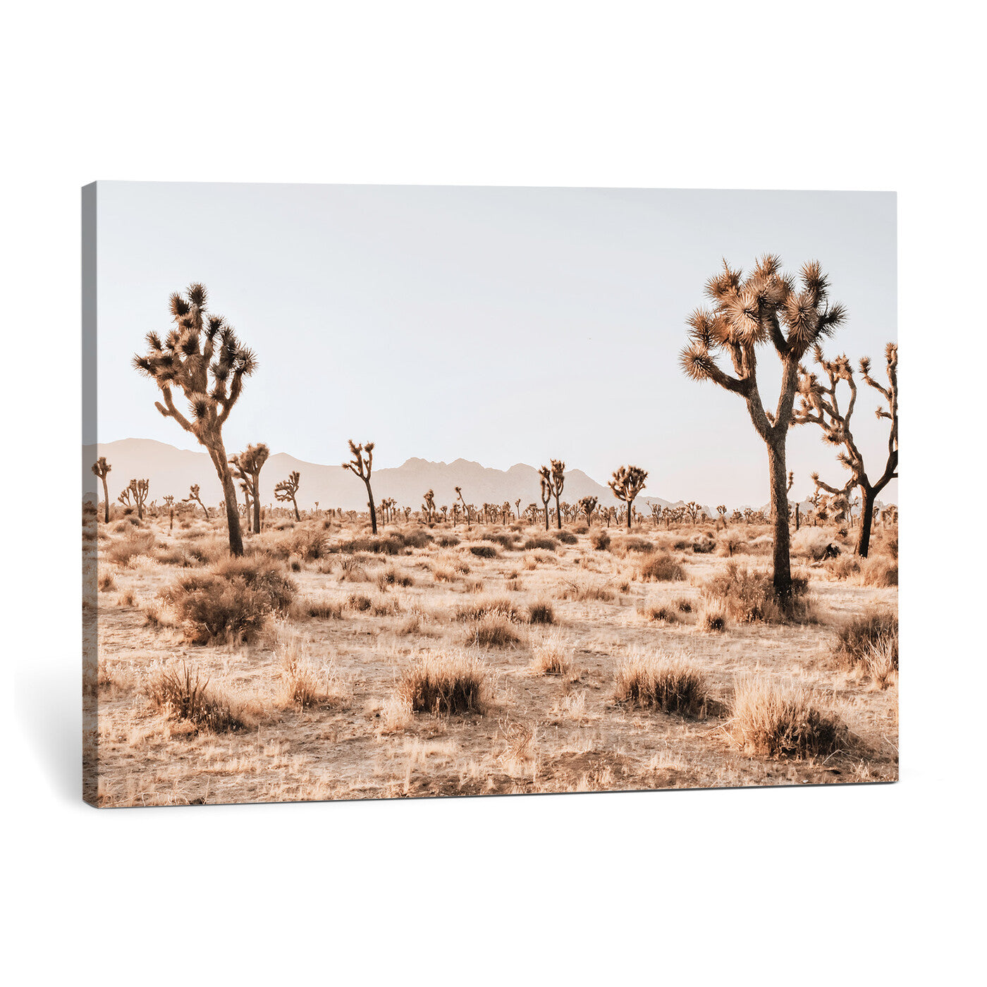 33549408-MGV-CV-36X24 - Joshua Tree Desert Canvas Wall Art Print - Desert Landscape Photography, Boho Southwest Wall Decor, Nature Canvas, Ready to Hang