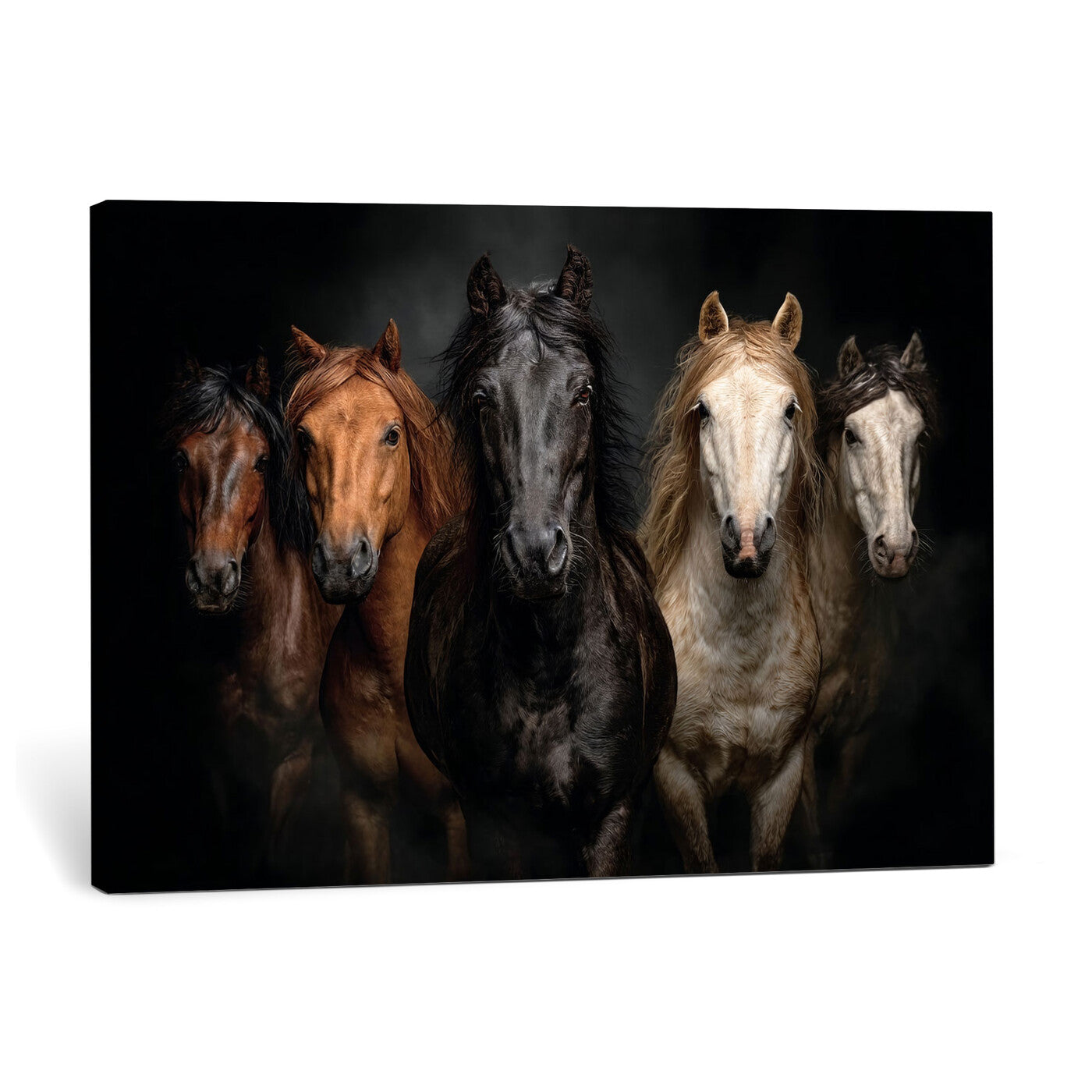 77696206-MGV-CV-36X24 - Horse Wall Art Canvas Print | Wild Horses Portrait Photography, Animal Horse Decor, Black Brown White Horse Herd