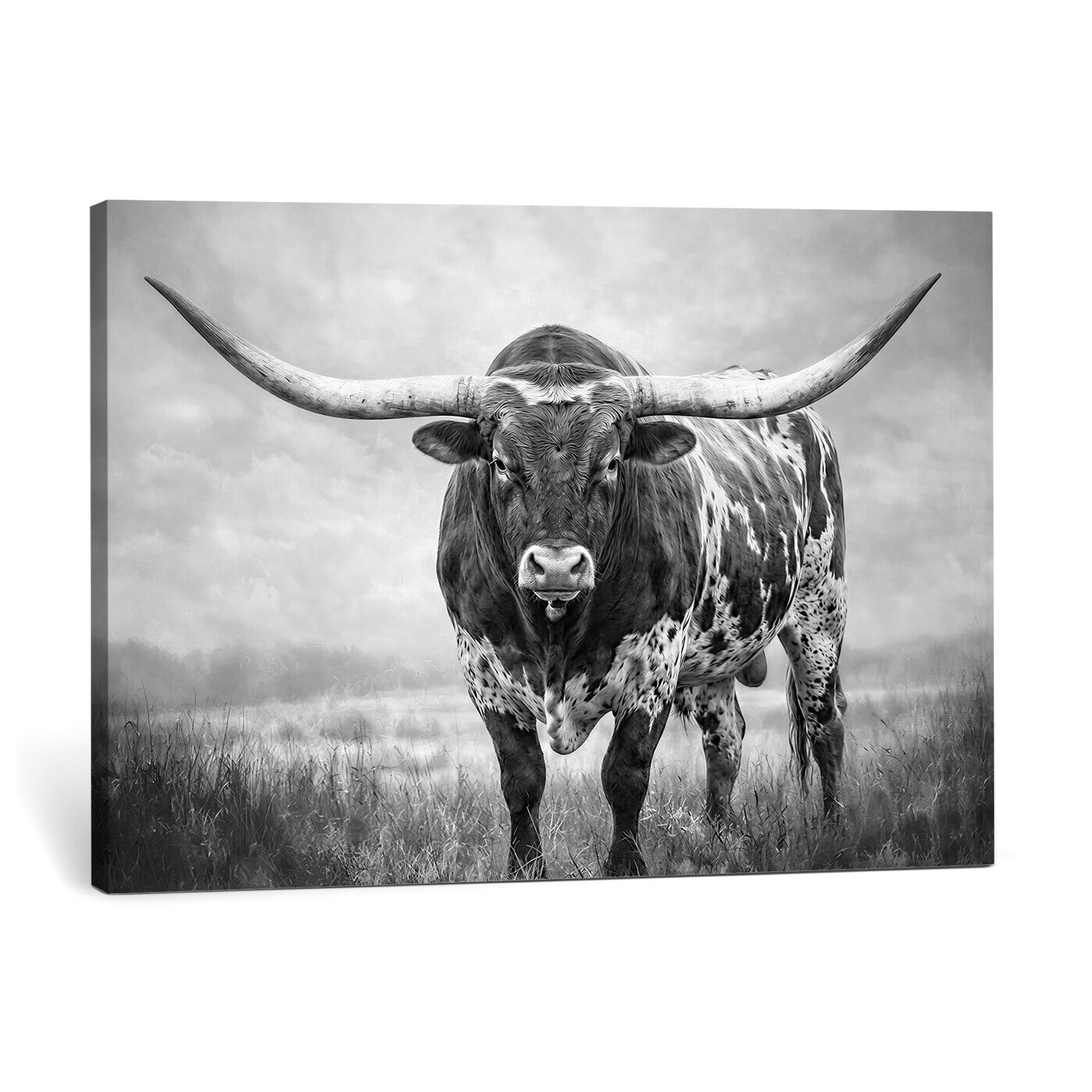 11121585-MGV-CV-36X24 - Texas Bull Wall Art Canvas Print for Farmhouse Restaurant Wall Decor