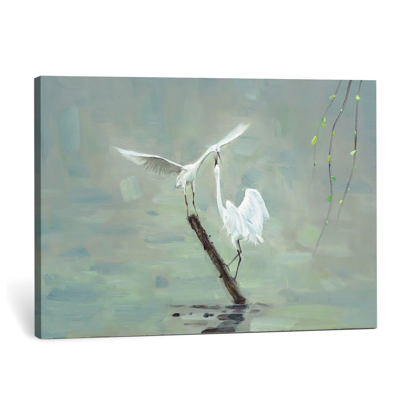 91124838-MGV-CV-36X24 - Two White Egrets on Marsh Branch Wall Art Canvas Print - Vintage Style Coastal Bird Poster
