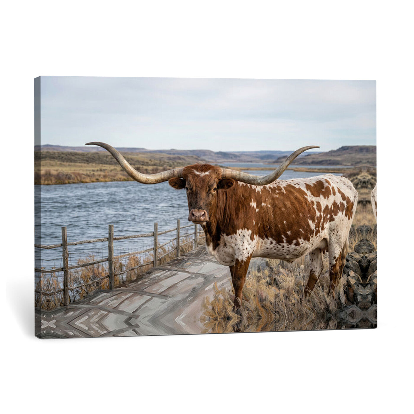91575949-MGV-CV-36X24 - Texas Longhorn Cattle in Desert Pasture Wall Art Canvas Print - Rustic Western Decor