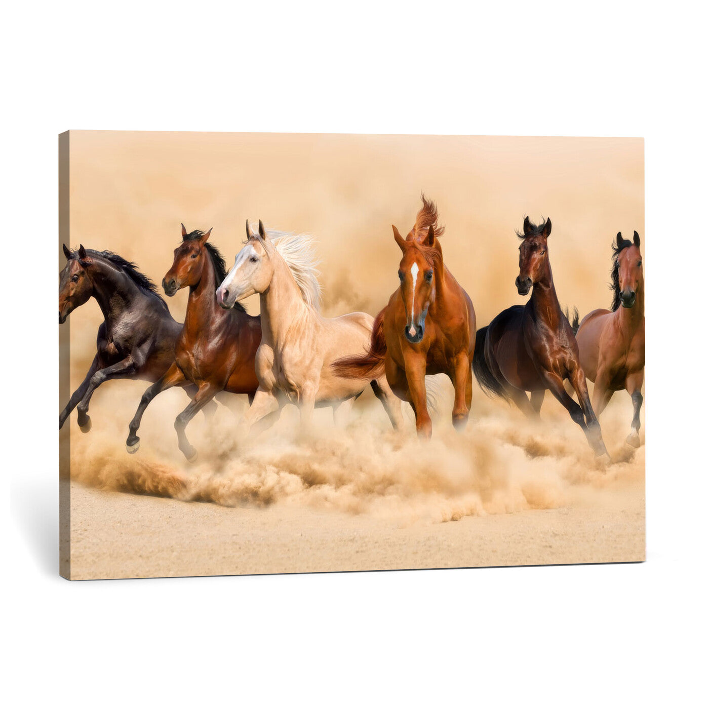 90610949-MGV-CV-36X24 - Herd of Six Wild Horses Galloping in Dust Storm Wall Art Canvas Print - Majestic Wildlife Decor