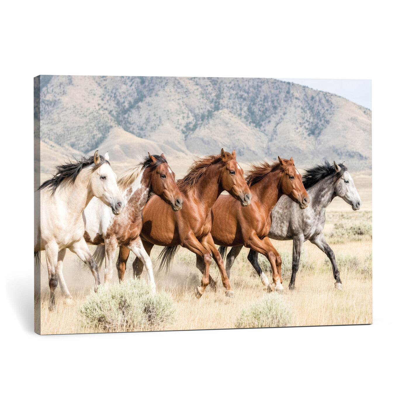 68345893-MGV-CV-36X24 - Five Mustangs Running Wild in Mountain Valley Wall Art Canvas Print - Rustic Western Decor