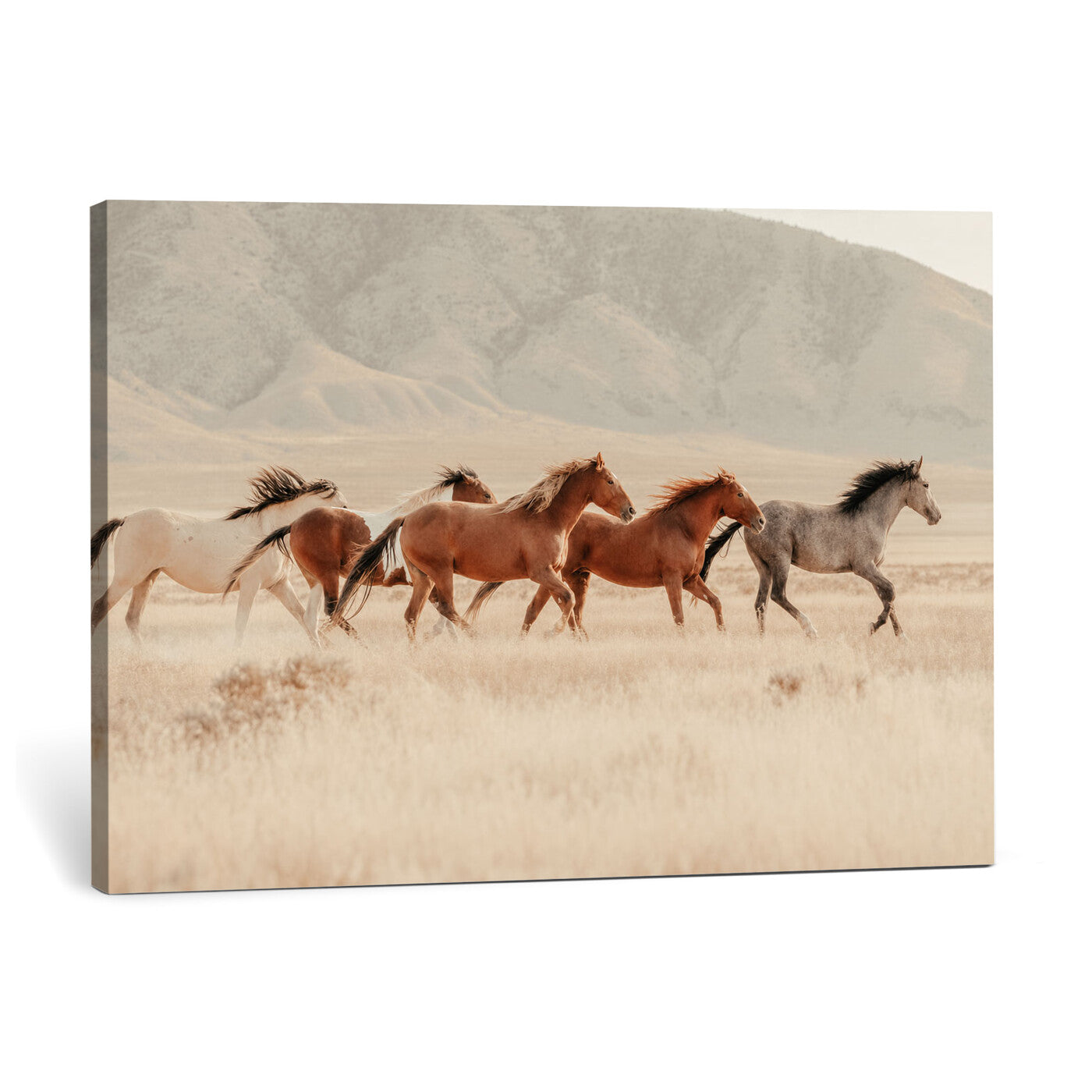 43348446-MGV-CV-36X24 - Herd of Wild Horses Running in Desert Mountain Wall Art Canvas Print - Boho Western Landscape