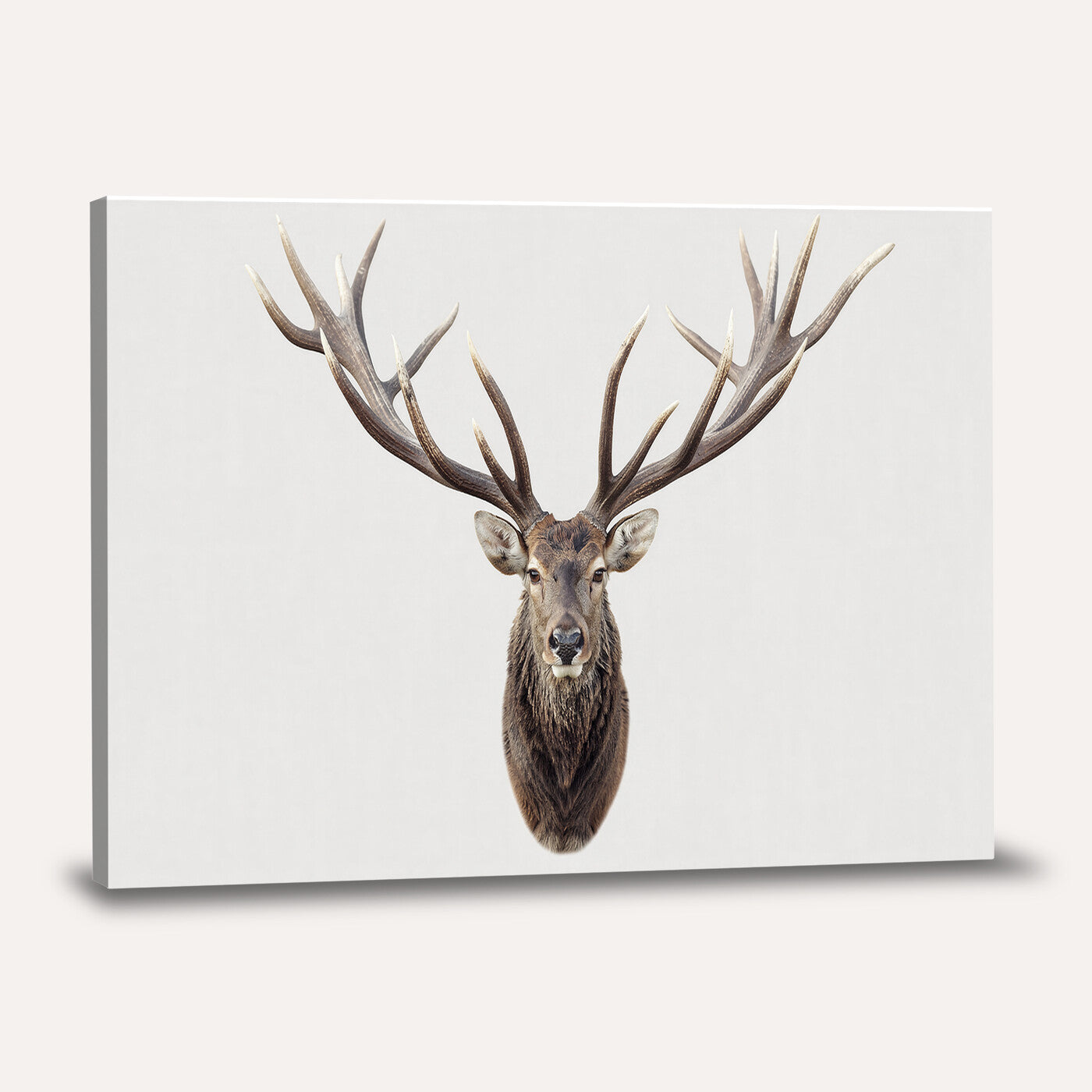 840173GY-MGV-CV-36X24 - Majestic Red Deer Canvas Wall Art – Stag Antlers Horns Print, Wildlife Hunting Poster, Rustic Cabin Lodge Decor