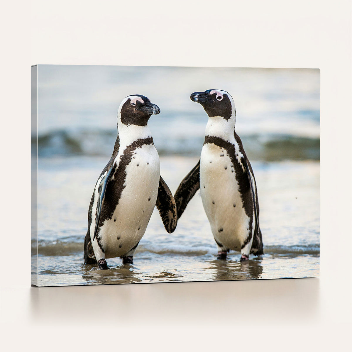 64870405-MGV-TP-30X20 - African Penguins Boulders Beach Wall Art Canvas Print, Cute Penguin Couple Photo Print