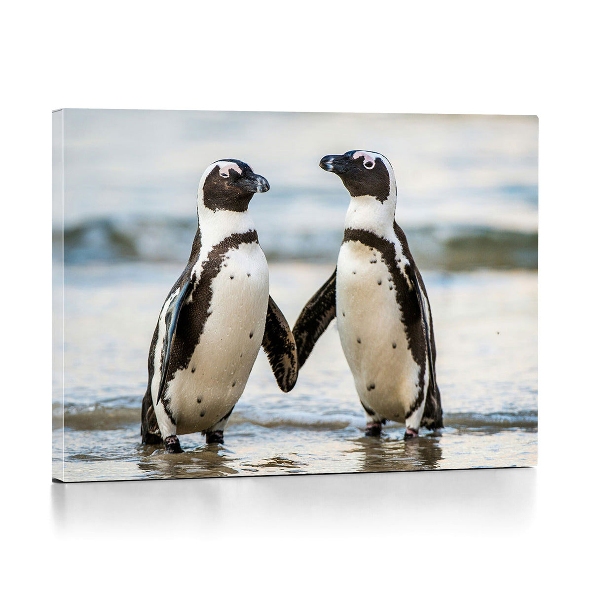 64870405-MGV-TP-30X20 - African Penguins Boulders Beach Wall Art Canvas Print, Cute Penguin Couple Photo Print