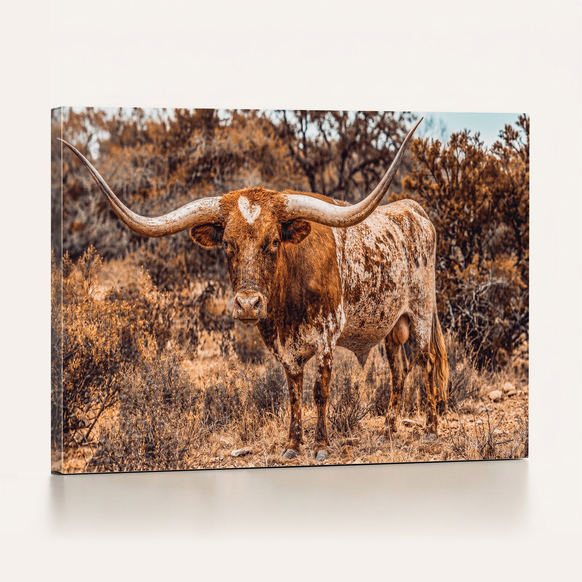 62076449-MGV-CV-36X24 - Texas Cow Bull Longhorn Print for Western Wall Art Decor for Farmhouse
