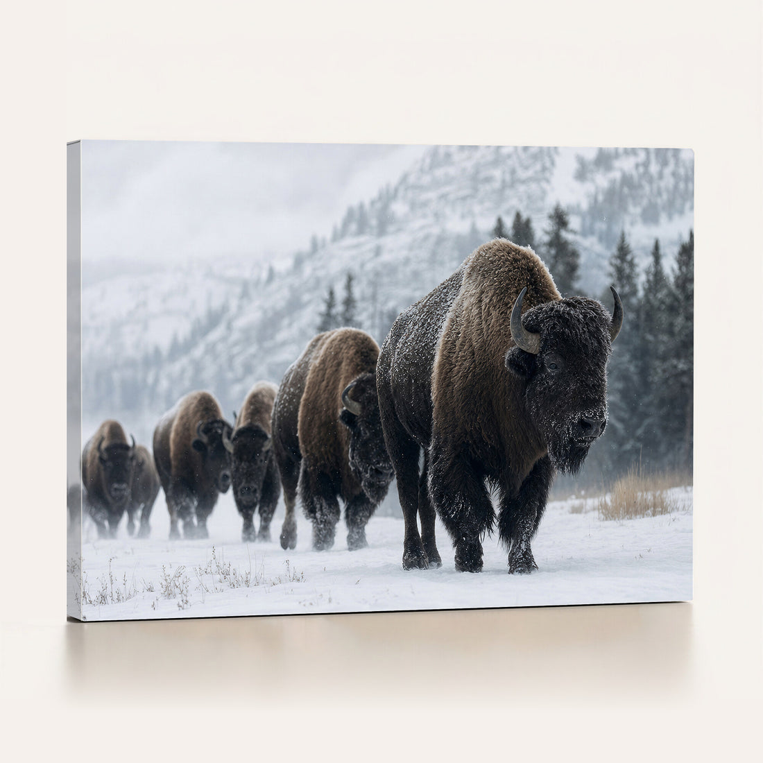 Rustic Bison Wall Art, American Buffalo Photo Print, Wildlife Canvas