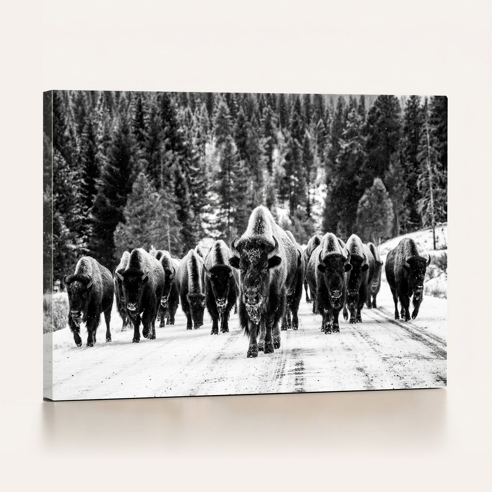 79337077-MGV-CV-36X24 - Black and White Bison Canvas Art, American Buffalo Print, Winter Wildlife Photography, Rustic Forest Wall Decor, Large Statement Nature Gift